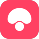 成都蓉城大名单：帅惟浩入选穿52号，冯卓毅回归穿6号